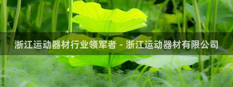 海南意昂體育3：浙江運動器材行業(yè)領(lǐng)軍者 - 浙江運動