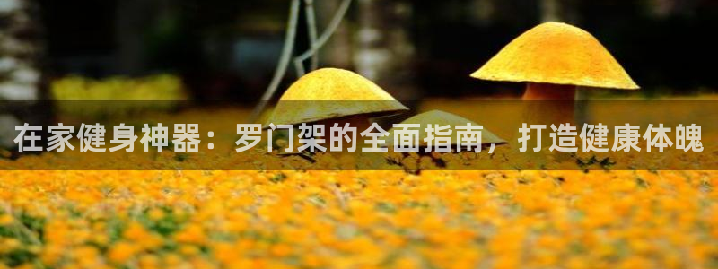 意昂3集團官網(wǎng)首頁：在家健身神器：羅門架的全面指南，