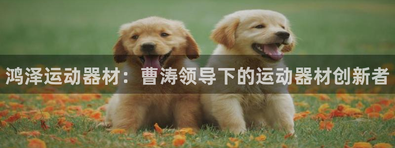 意昂3集團(tuán)官網(wǎng)網(wǎng)址