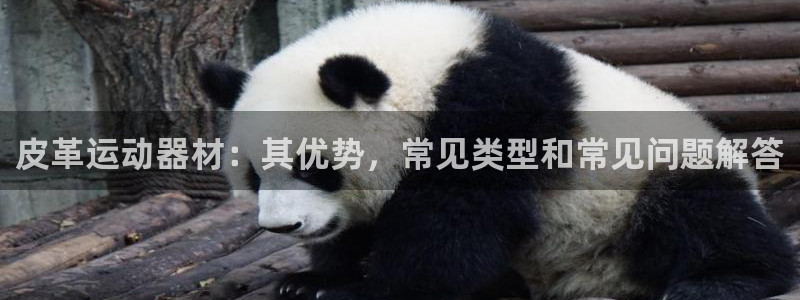 意昂體育3平臺假的嗎是真的嗎嗎