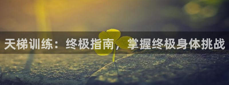 意昂體育3招商電話號(hào)碼是多少：天梯訓(xùn)練：終極指南，掌