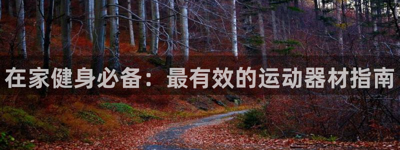 意昂平臺(tái)體育