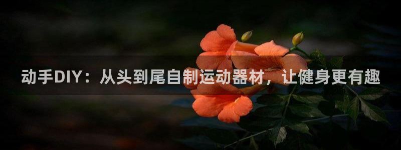 意昂體育3平臺APP：動(dòng)手DIY：從頭到尾自制運(yùn)動(dòng)器