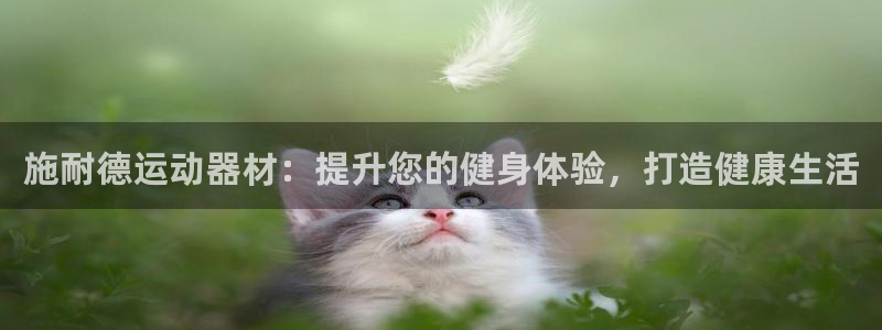 意昂3娛樂網(wǎng)站：施耐德運(yùn)動(dòng)器材：提升您的健身體驗(yàn)，打