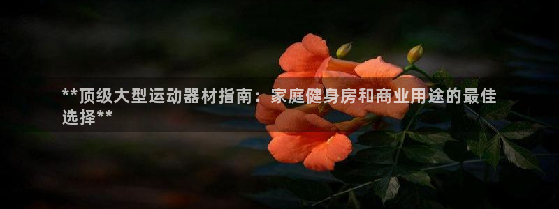 意昂3神州：**頂級(jí)大型運(yùn)動(dòng)器材指南：家庭健身房和商