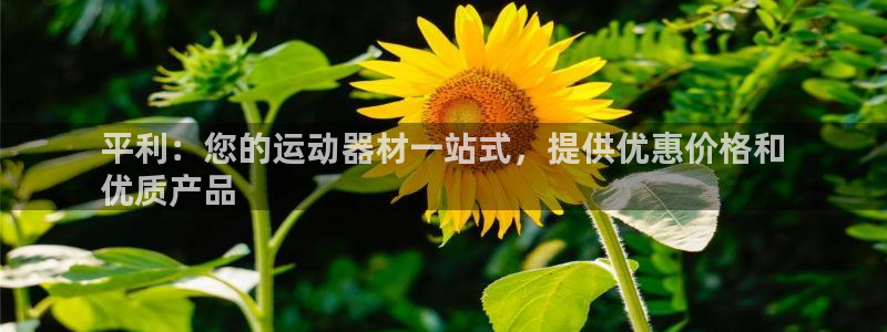 意昂體育3平臺(tái)APP：平利：您的運(yùn)動(dòng)器材一站式，提供