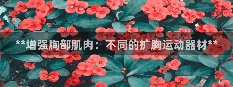 意昂3娛樂首頁網(wǎng)站大全