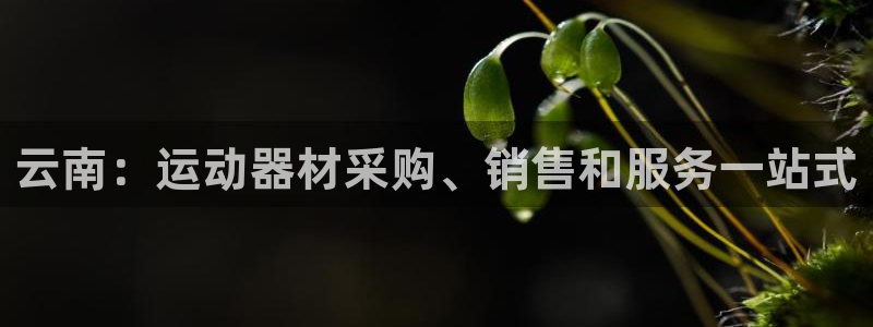 意昂體育3平臺(tái)注冊(cè)流程圖