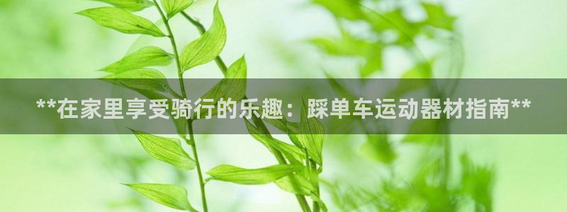 意昂3娛樂(lè)網(wǎng)站
